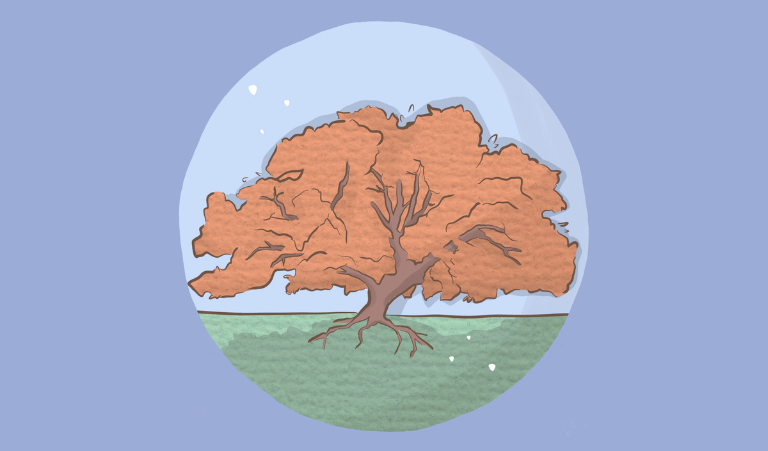Plum Village App 4.0: Meet the Contributors